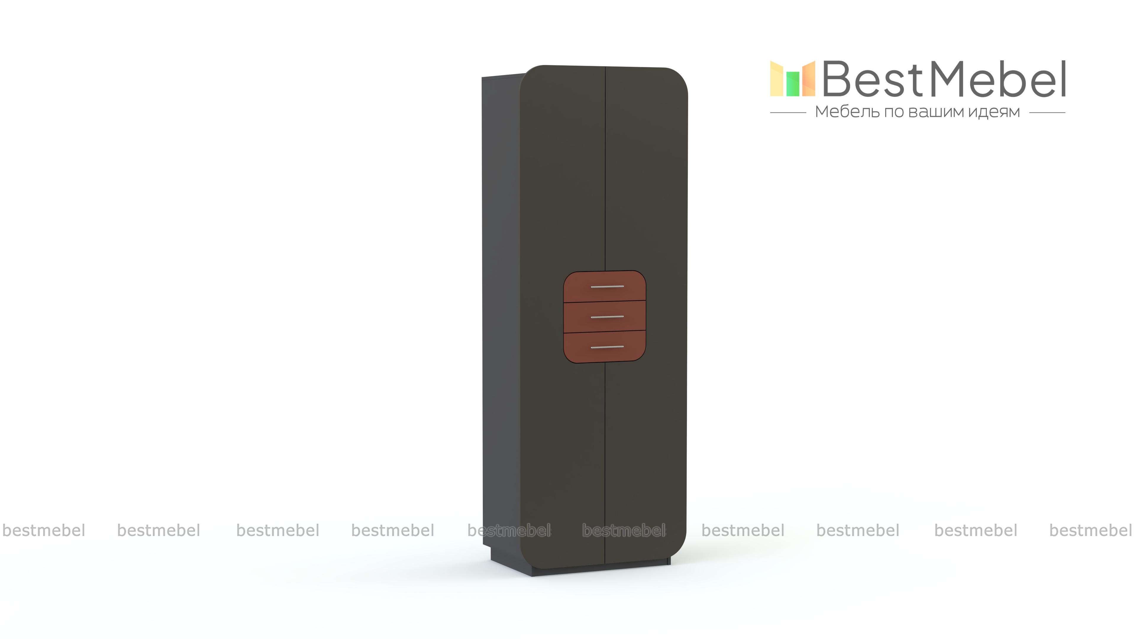 Распашной шкаф Модерно 4.1 BMS - Фото