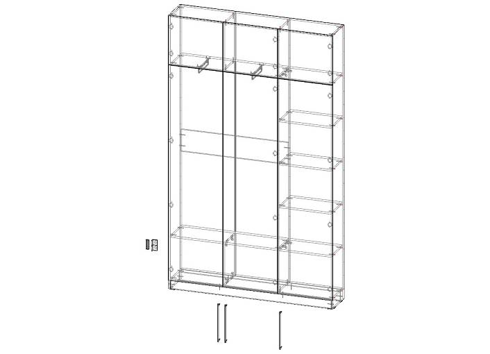 Распашной шкаф Вилета 6 (1500х2500х300)