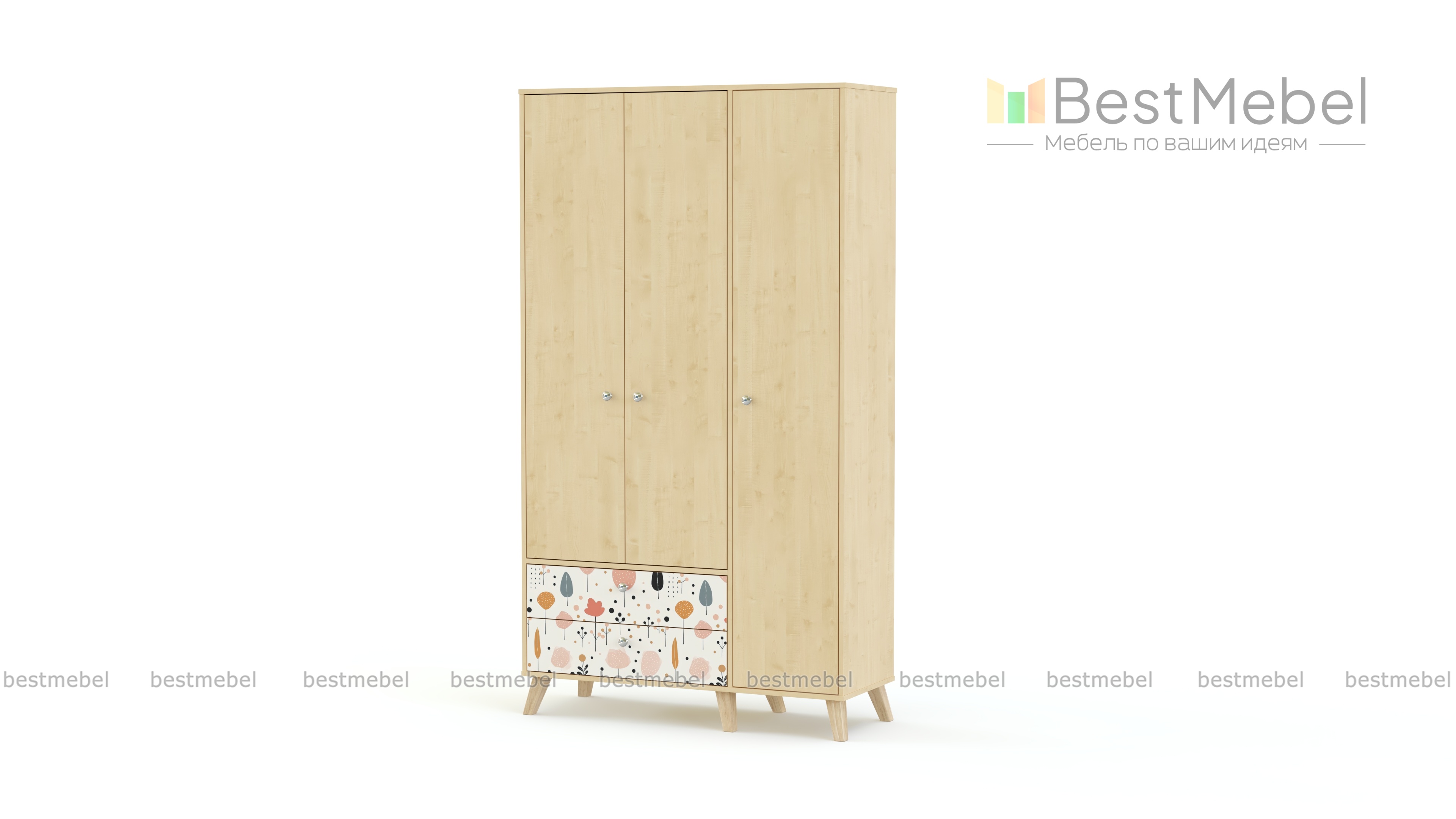 Шкаф распашной Эльза 3 BMS