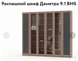 ЭСКИЗ Распашной шкаф Деметра 9.1 BMS  (2400х2200х320)